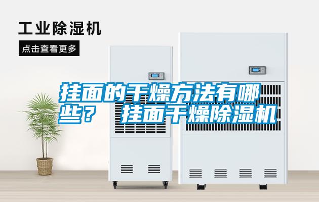 掛面的干燥方法有哪些？ 掛面干燥除濕機(jī)