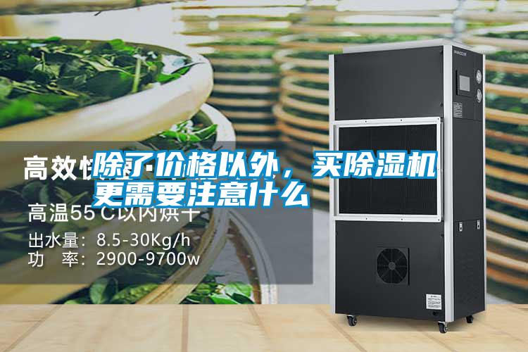 除了價(jià)格以外，買(mǎi)除濕機(jī)更需要注意什么