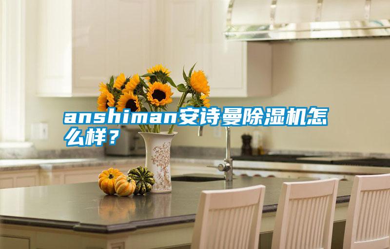 anshiman安詩曼除濕機(jī)怎么樣？