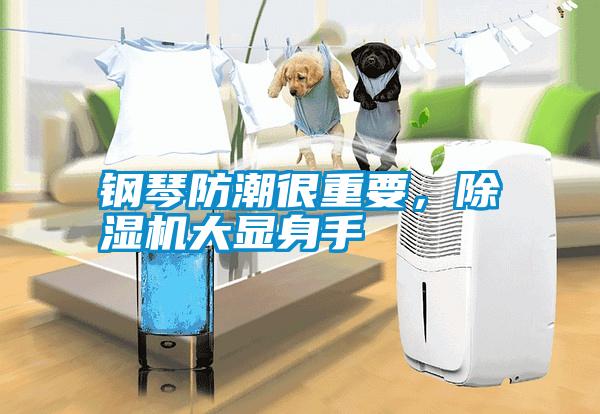 鋼琴防潮很重要，除濕機大顯身手