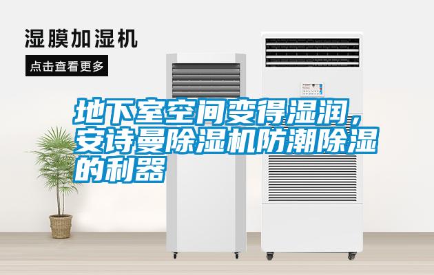 地下室空間變得濕潤，安詩曼除濕機防潮除濕的利器