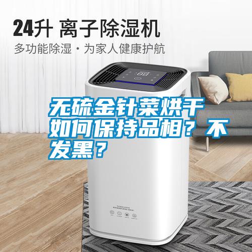 無(wú)硫金針菜烘干如何保持品相？不發(fā)黑？