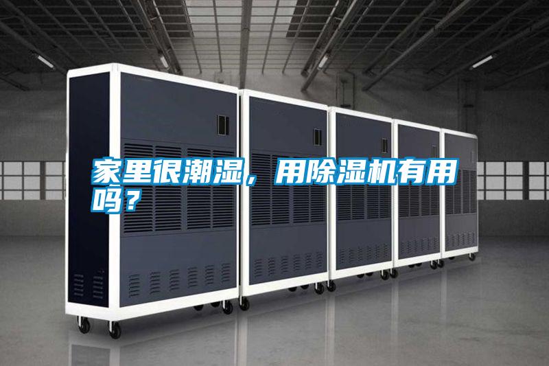 家里很潮濕，用除濕機(jī)有用嗎？