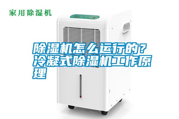除濕機(jī)怎么運(yùn)行的？冷凝式除濕機(jī)工作原理
