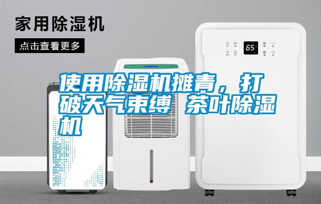 使用除濕機攤青，打破天氣束縛 茶葉除濕機