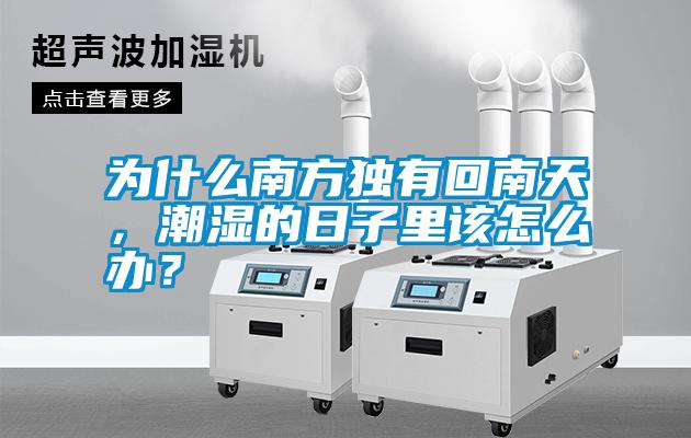 為什么南方獨(dú)有回南天，潮濕的日子里該怎么辦？