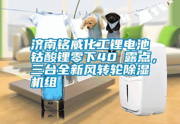 濟南銘威化工鋰電池鈷酸鋰零下40℃露點，三臺全新風轉輪除濕機組