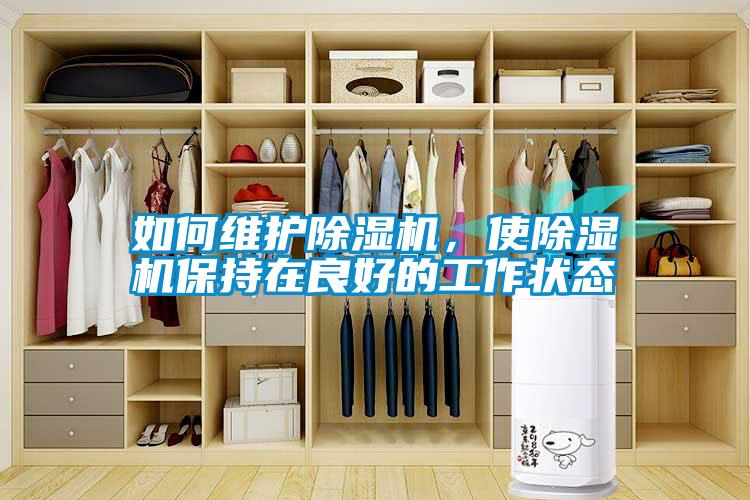 如何維護(hù)除濕機(jī),使除濕機(jī)保持在良好的工作狀態(tài)