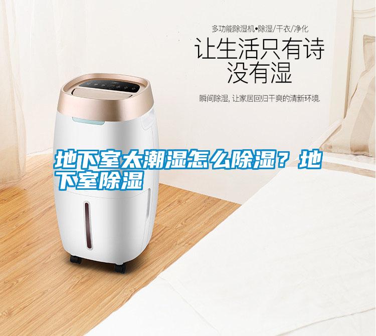 地下室太潮濕怎么除濕？地下室除濕