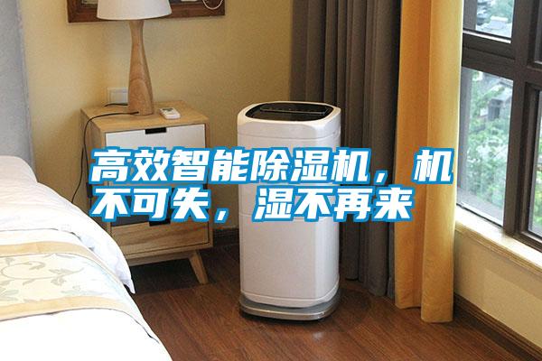 高效智能除濕機(jī)，機(jī)不可失，濕不再來
