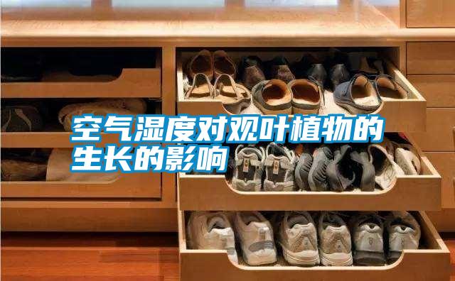 空氣濕度對(duì)觀葉植物的生長的影響