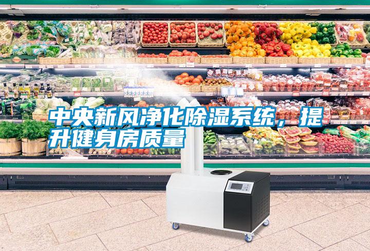 中央新風凈化除濕系統(tǒng)，提升健身房質(zhì)量