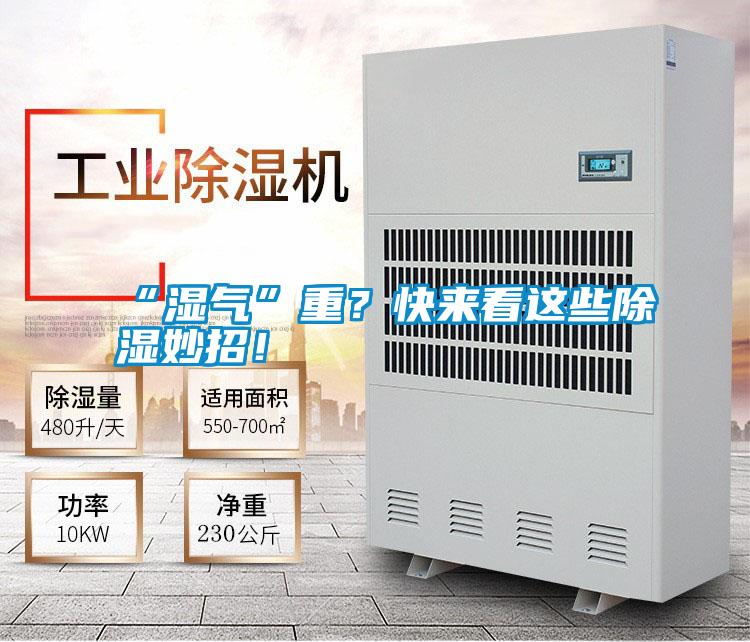 “濕氣”重？快來看這些除濕妙招！