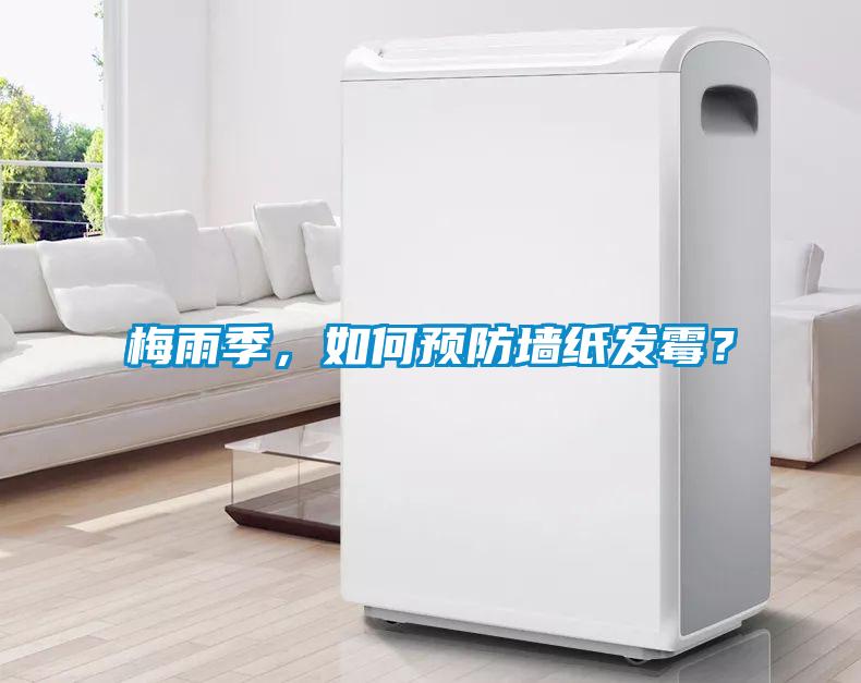 梅雨季，如何預(yù)防墻紙發(fā)霉？
