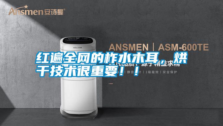 紅遍全網(wǎng)的柞水木耳，烘干技術(shù)很重要！！