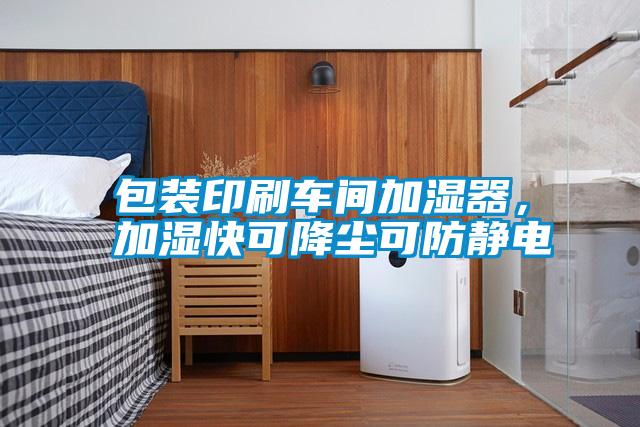 包裝印刷車間加濕器，加濕快可降塵可防靜電