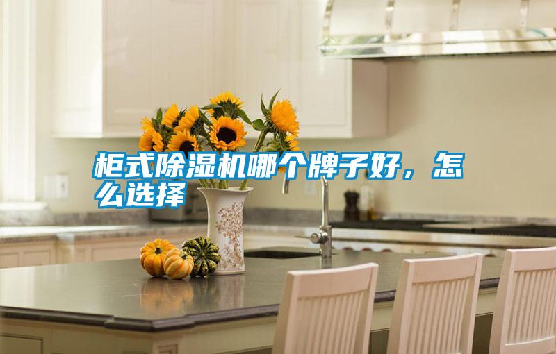 柜式除濕機(jī)哪個(gè)牌子好,怎么選擇