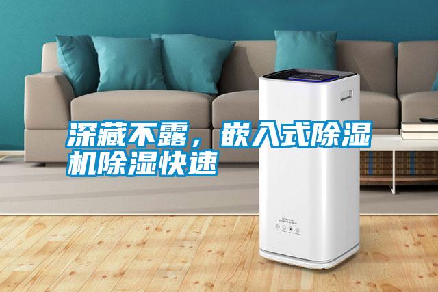 深藏不露，嵌入式除濕機(jī)除濕快速