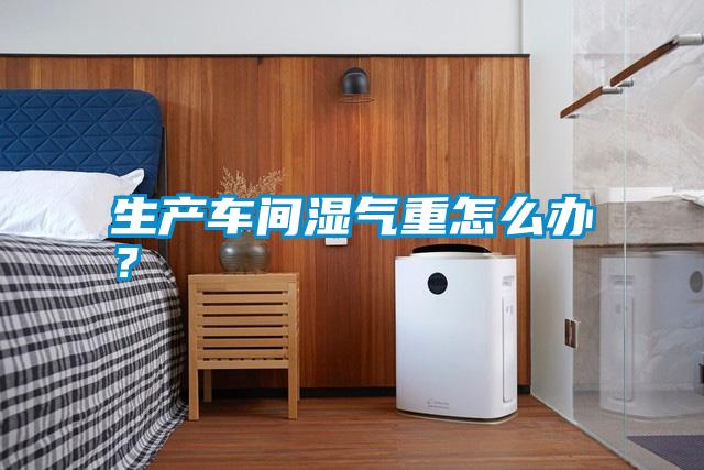 生產(chǎn)車(chē)間濕氣重怎么辦？
