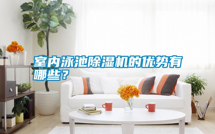 室內(nèi)泳池除濕機(jī)的優(yōu)勢有哪些？