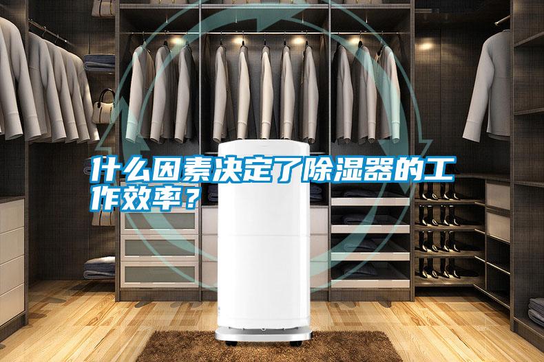 什么因素決定了除濕器的工作效率？