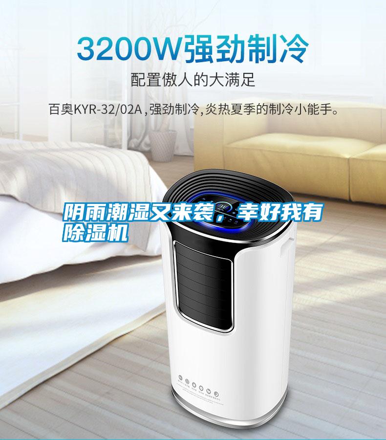 陰雨潮濕又來襲，幸好我有除濕機