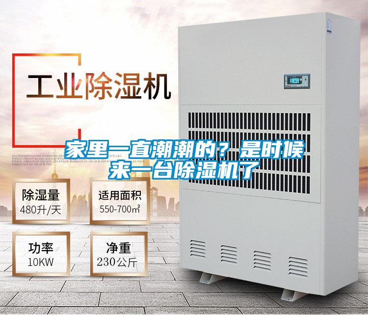 家里一直潮潮的？是時(shí)候來一臺(tái)除濕機(jī)了