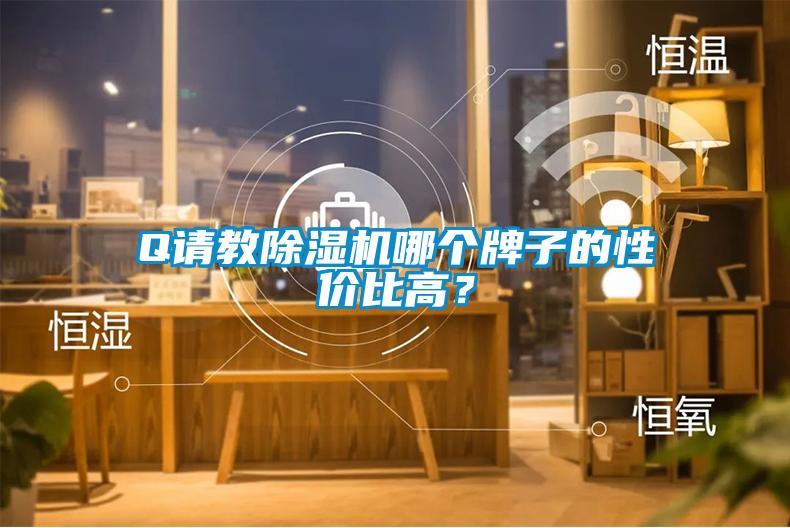 Q請教除濕機(jī)哪個牌子的性價(jià)比高?