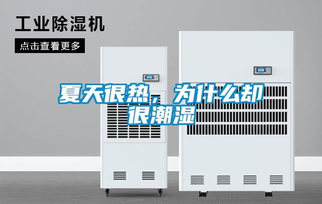 夏天很熱，為什么卻很潮濕