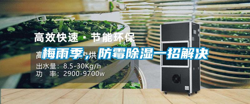 梅雨季，防霉除濕一招解決