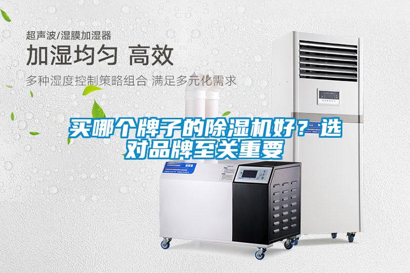 買哪個牌子的除濕機好？選對品牌至關(guān)重要