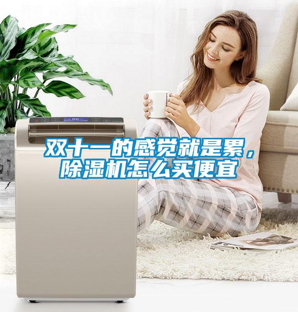雙十一的感覺(jué)就是累，除濕機(jī)怎么買(mǎi)便宜