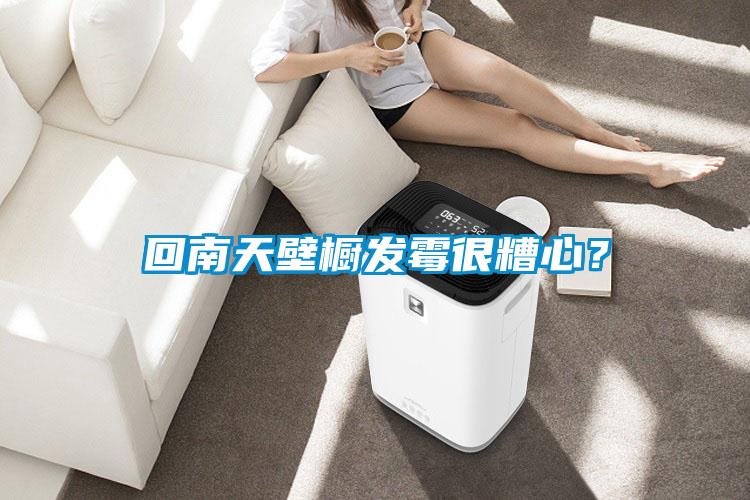 回南天壁櫥發(fā)霉很糟心？