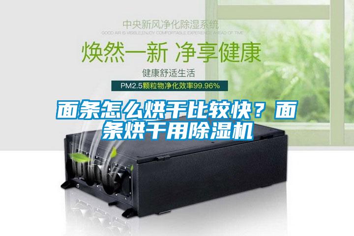面條怎么烘干比較快？面條烘干用除濕機