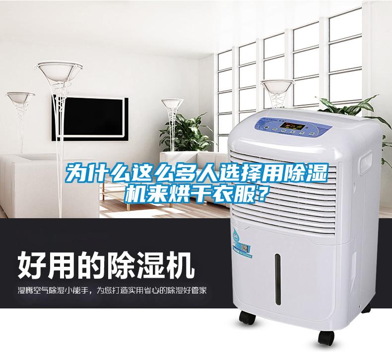 為什么這么多人選擇用除濕機來烘干衣服？