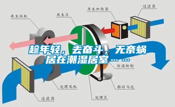 趁年輕，去奮斗，無奈蝸居在潮濕居室……