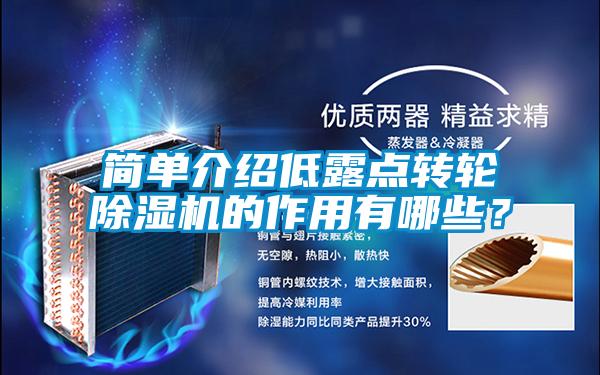 簡單介紹低露點(diǎn)轉(zhuǎn)輪除濕機(jī)的作用有哪些？