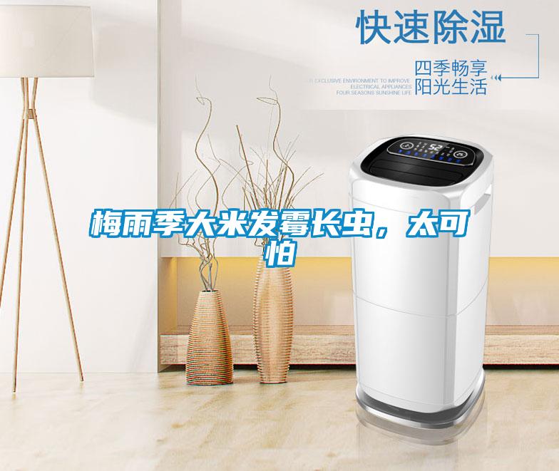 梅雨季大米發(fā)霉長蟲，太可怕