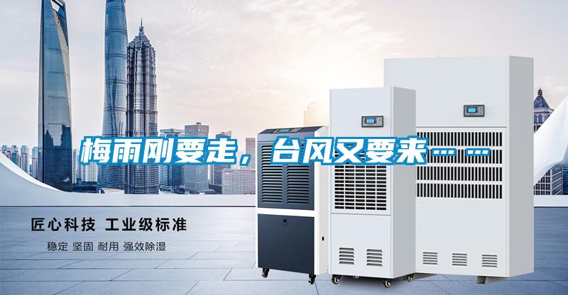 梅雨剛要走，臺風又要來……