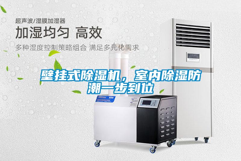 壁掛式除濕機,室內(nèi)除濕防潮一步到位
