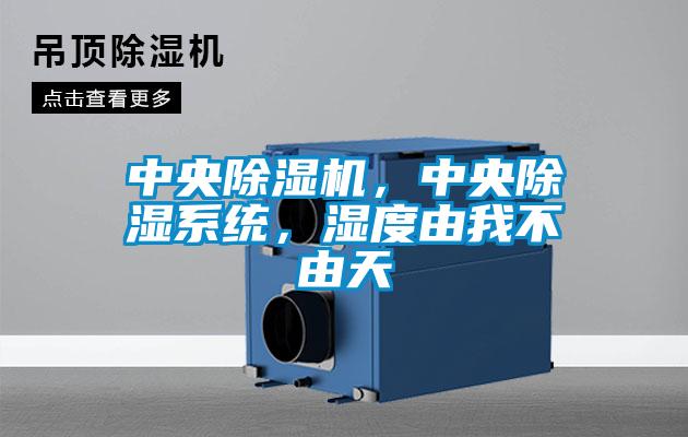 中央除濕機，中央除濕系統(tǒng)，濕度由我不由天