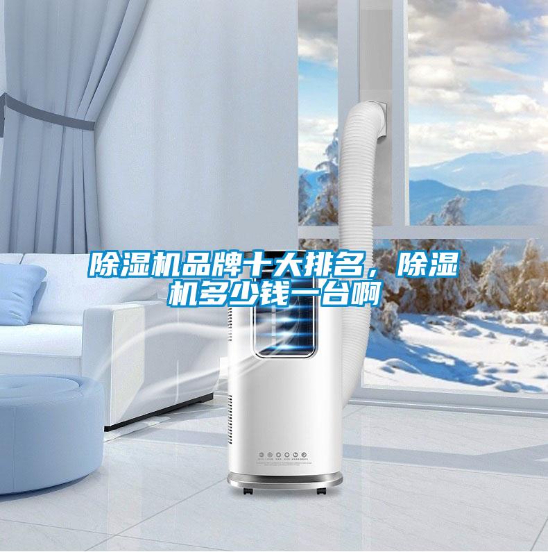 除濕機品牌十大排名,除濕機多少錢一臺啊