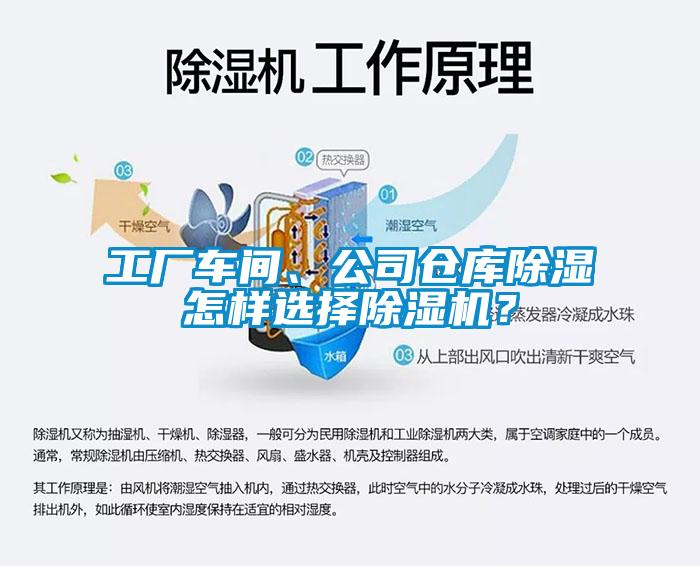 工廠車間、公司倉庫除濕怎樣選擇除濕機(jī)？