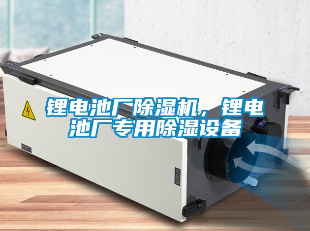 鋰電池廠除濕機(jī),鋰電池廠專用除濕設(shè)備