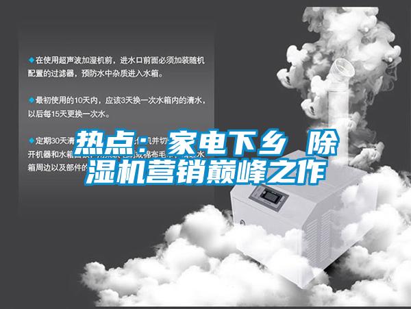 熱點(diǎn):家電下鄉(xiāng) 除濕機(jī)營(yíng)銷巔峰之作