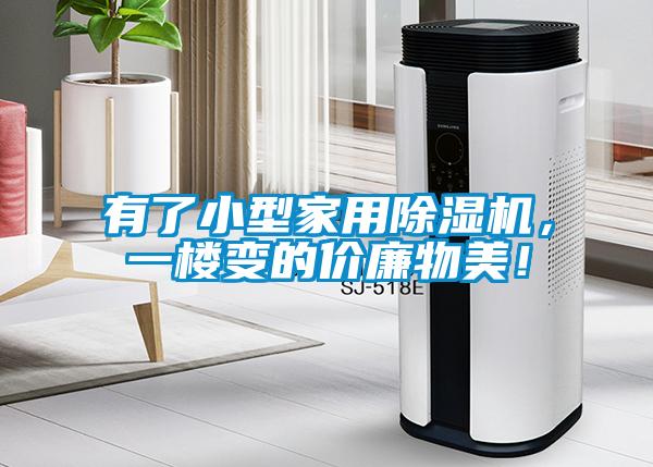 有了小型家用除濕機(jī)，一樓變的價(jià)廉物美！