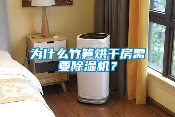 為什么竹筍烘干房需要除濕機(jī)？