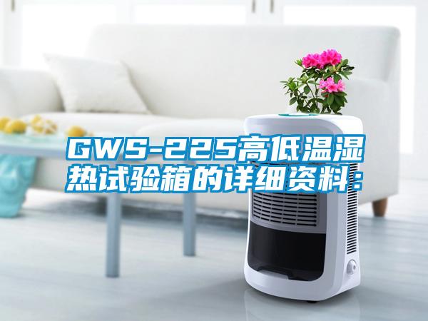 GWS-225高低溫濕熱試驗(yàn)箱的詳細(xì)資料: