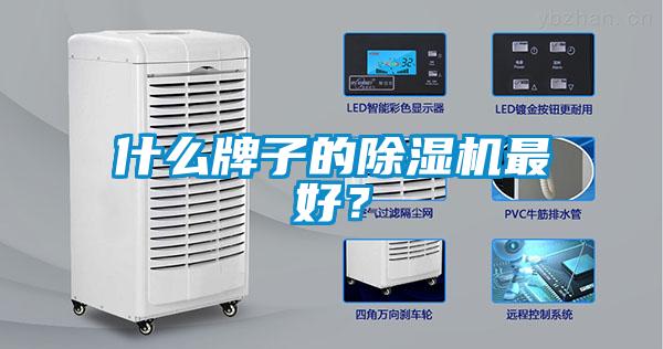什么牌子的除濕機(jī)最好?