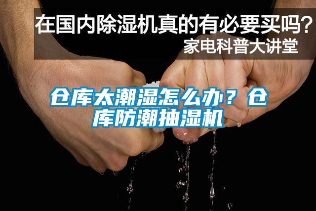 倉庫太潮濕怎么辦?倉庫防潮抽濕機
